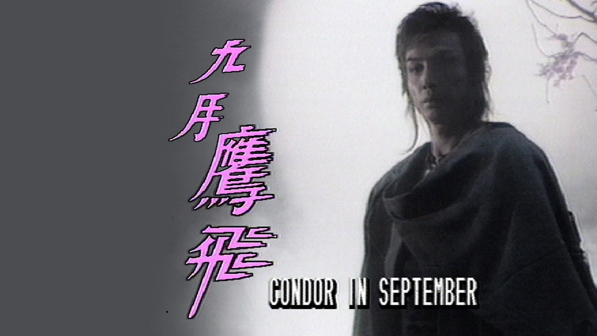 Cửu Nguyệt Ưng Phi (Condor In September)