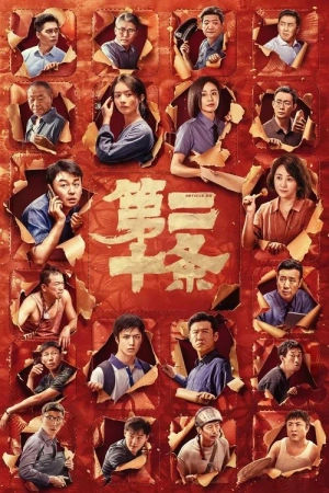 Poster phim Điều 20 (Chính Đáng Phòng Vệ)