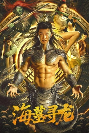 Poster phim Hải Mộ Tầm Long
