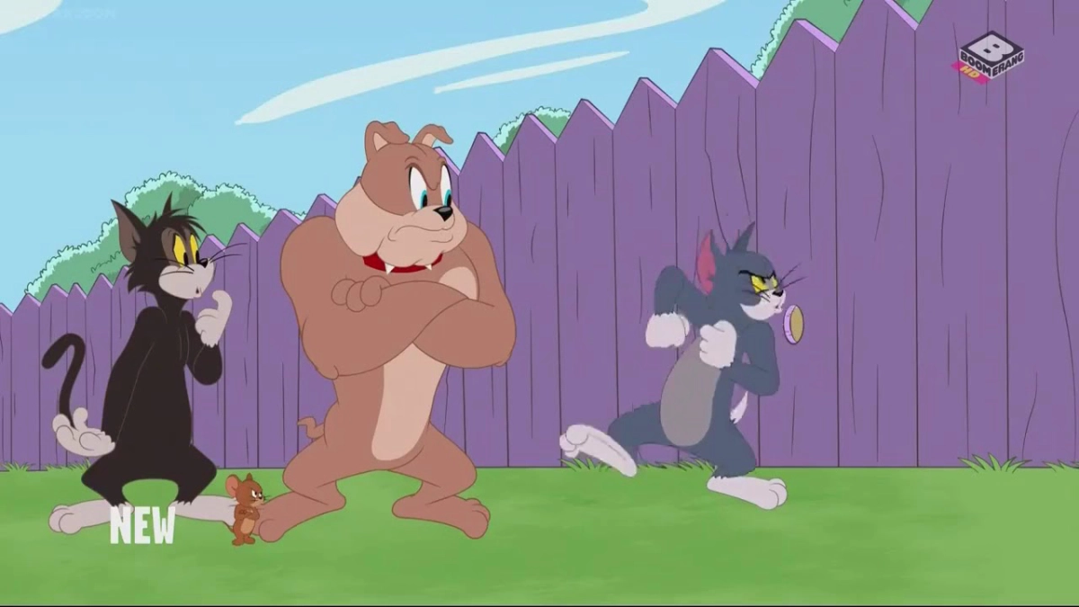 The Tom and Jerry Show (Phần 3) (The Tom and Jerry Show (Season 3))